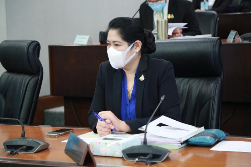 รมว.พม. เป็นรองประ�