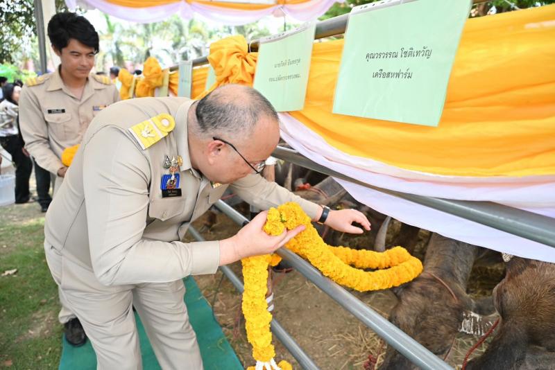 นายอภิชา เลิศพัชร�