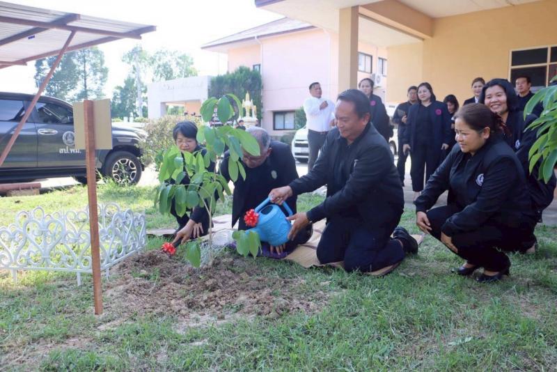 ปลัด พม. ลงพื้นที่�