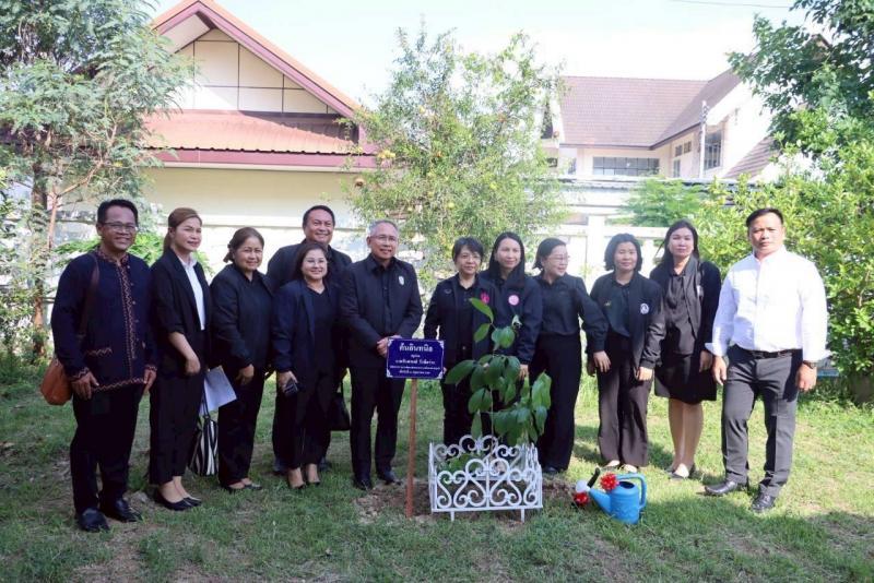 ปลัด พม. ลงพื้นที่�