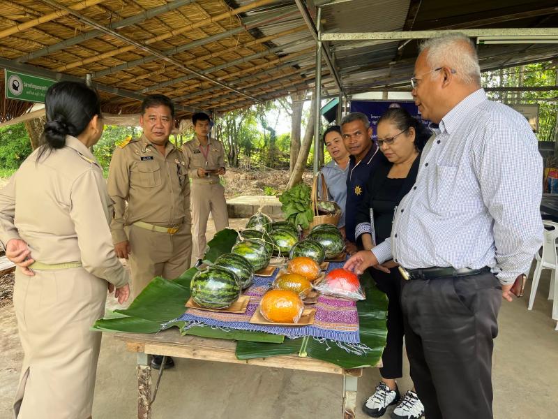 นายพิสิฐ พูลพิพัฒ�
