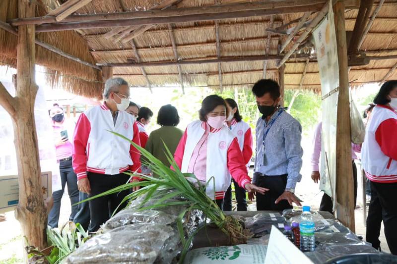 ปลัดพม.ลงพื้นที่จ�