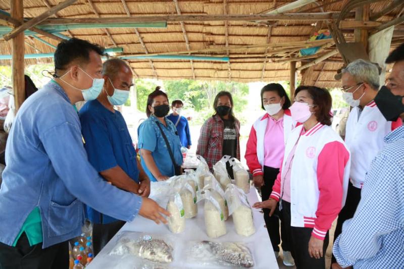 ปลัดพม.ลงพื้นที่จ�