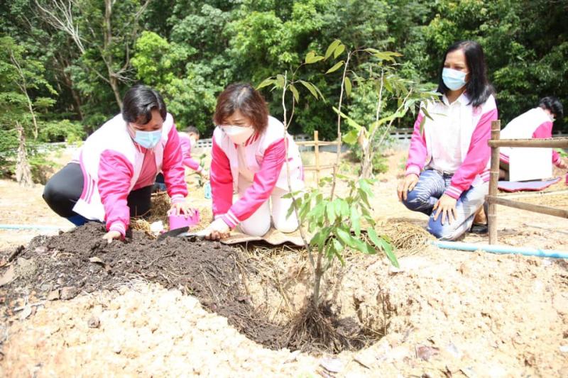 ปลัดพม.ลงพื้นที่จ�