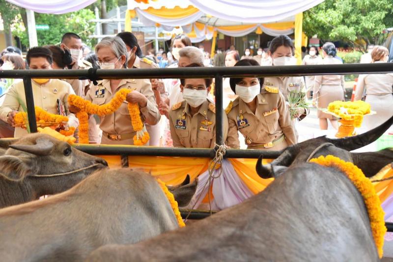 พม. จัดงานบำเพ็ญกุ