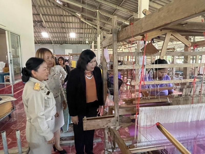 ผู้ตรวจราชการกระ�