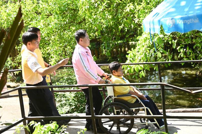 หมูเด้ง เป็นสักขี�