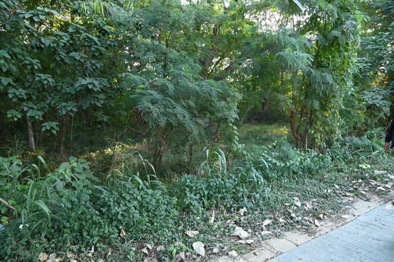 วราวุธ เล็งผุดที่�