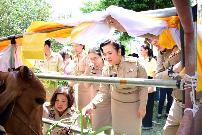 พม. จัดงานบำเพ็ญกุ