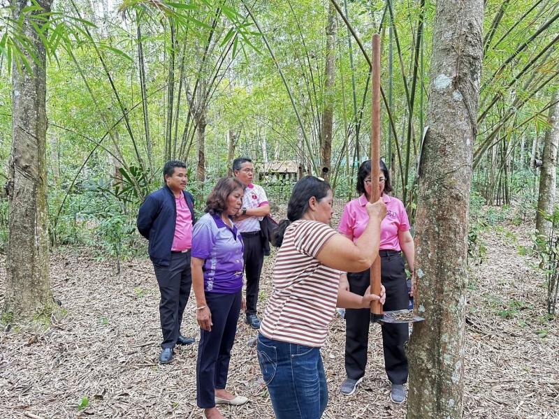 ศาสตราจารย์ ดร. กน�