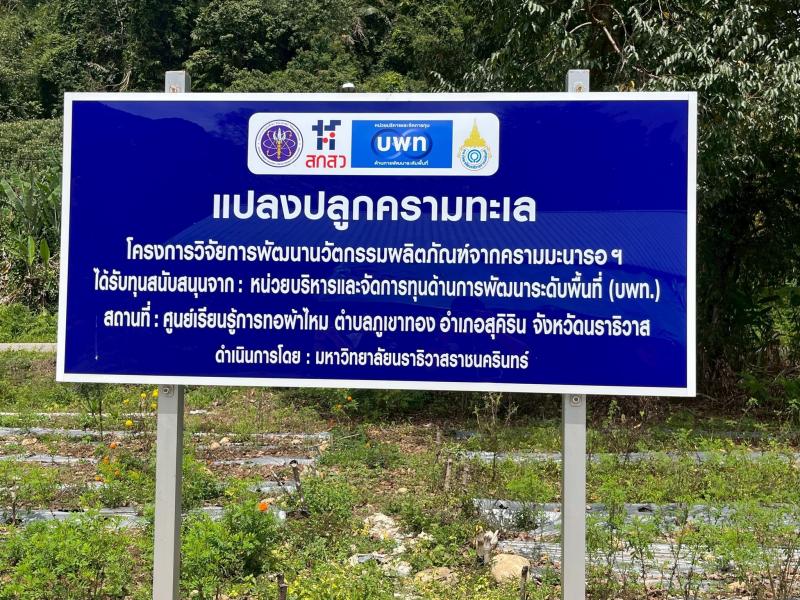 นายพิสิฐ พูลพิพัฒ�
