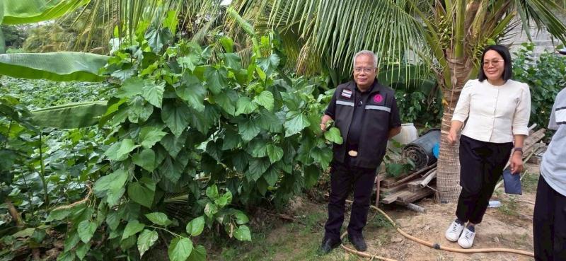 นายพิสิฐ พูลพิพัฒ�