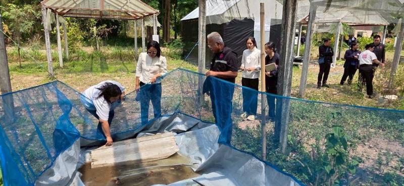 นายพิสิฐ พูลพิพัฒ�
